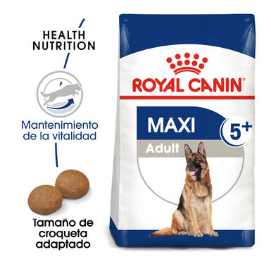 Royal Canin Maxi Adult 5+ pienso para perros senior de raza grande